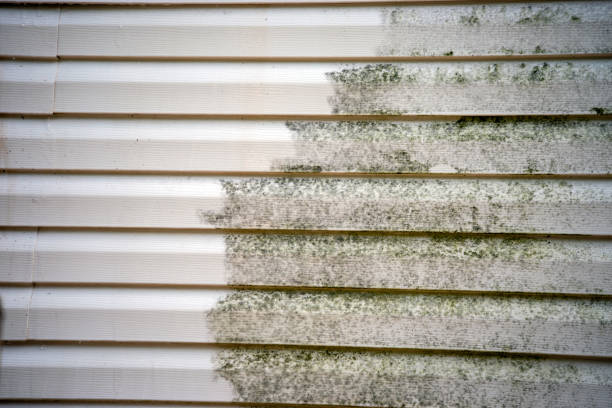 How To Choose The Right Materials for Your Siding Installation in 'Tomball, TX